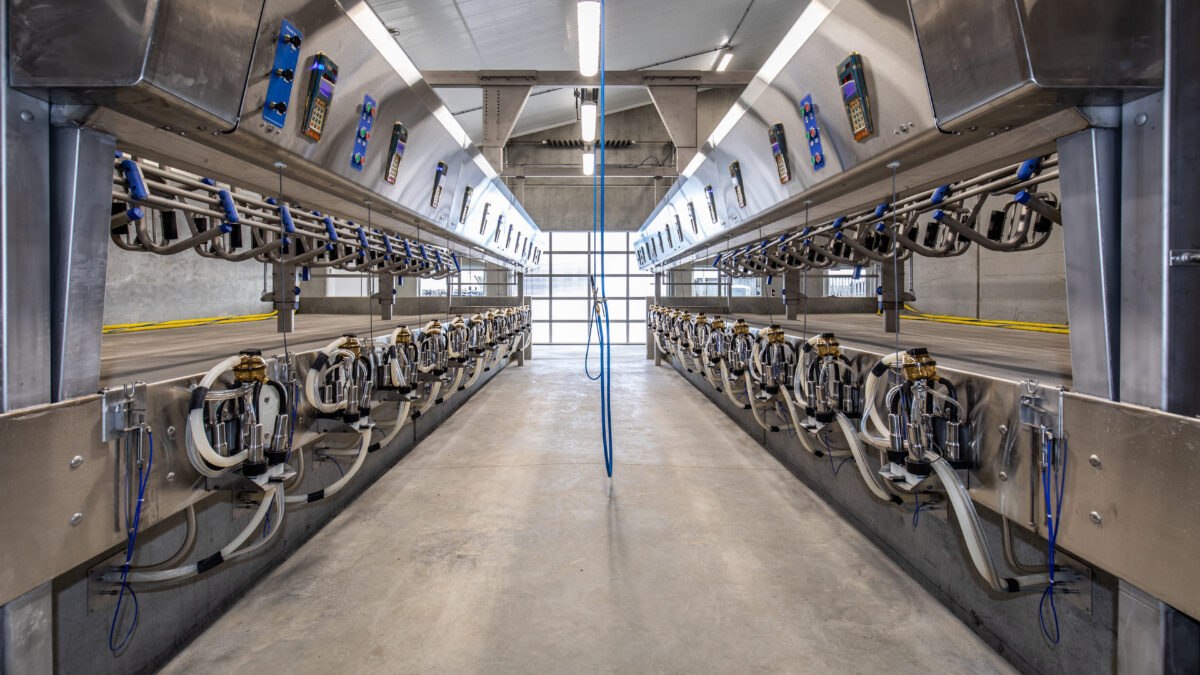 Hala udojowa bok w bok — instalacja BouMatic u klienta SAC Centrum